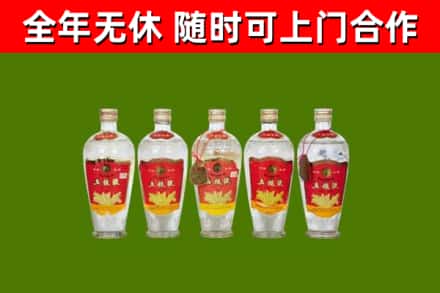 赤坎回收老五粮液